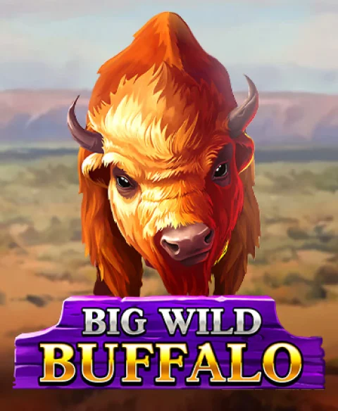 Spielen Sie Big Wild Buffalo im Casoola Casino